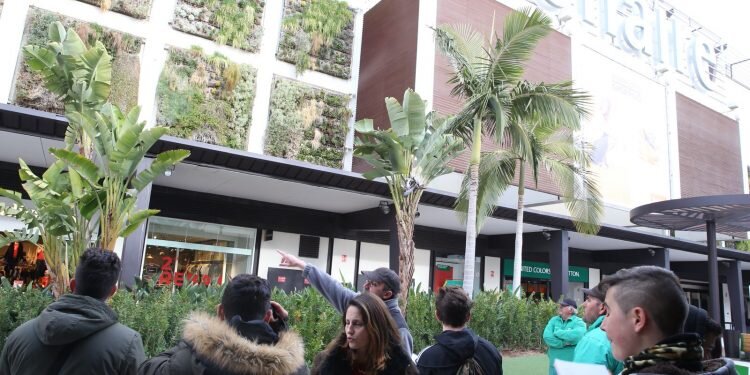 Estudiantes de jardinería visitan el proyecto medioambiental de jardín vertical de Bonaire