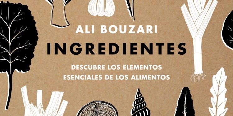 INGREDIENTES ALI BOUZARI