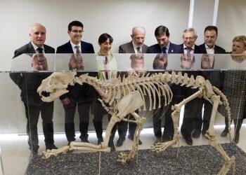 Una nueva vida para el Museo de Historia Natural con mirada comarcal