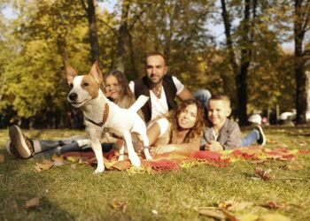 Valencia acogerá en abril el FAMAS FEST,el primer festival para familias y mascotas de Europa