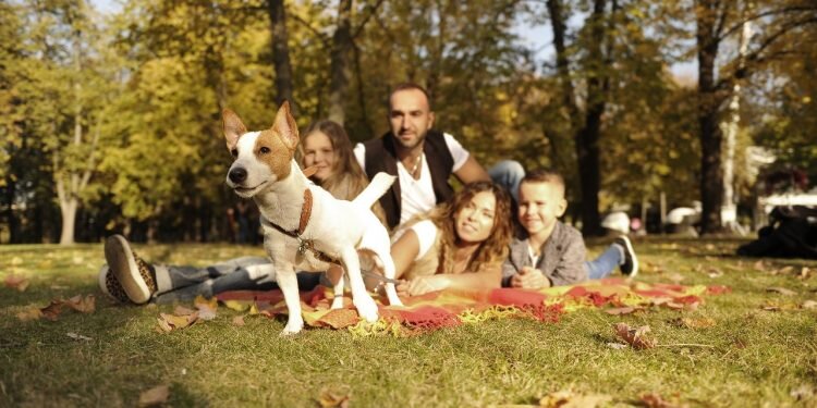 Valencia acogerá en abril el FAMAS FEST,el primer festival para familias y mascotas de Europa