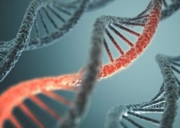 El 71% de los españoles tiene sangre valenciana