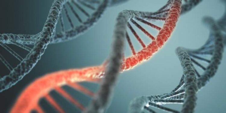 El 71% de los españoles tiene sangre valenciana