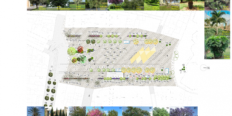El Ayuntamiento recupera la plaza de la Reina para la ciudadanía como espacio peatonal de convivencia