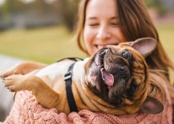 Famas Fest, el primer festival para familias y mascotas de Europa, arranca este fin de semana en Valencia