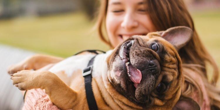 Famas Fest, el primer festival para familias y mascotas de Europa, arranca este fin de semana en Valencia