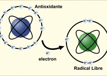 Perfil Redox: todo lo que hay que saber de los radicales libres