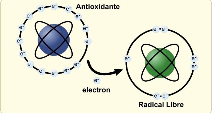 Perfil Redox: todo lo que hay que saber de los radicales libres
