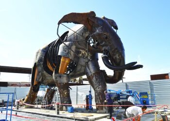 El majestuoso elefante de la plaza de BIOPARC Valencia se llamará Escipión y simboliza la unión del arte y la naturaleza