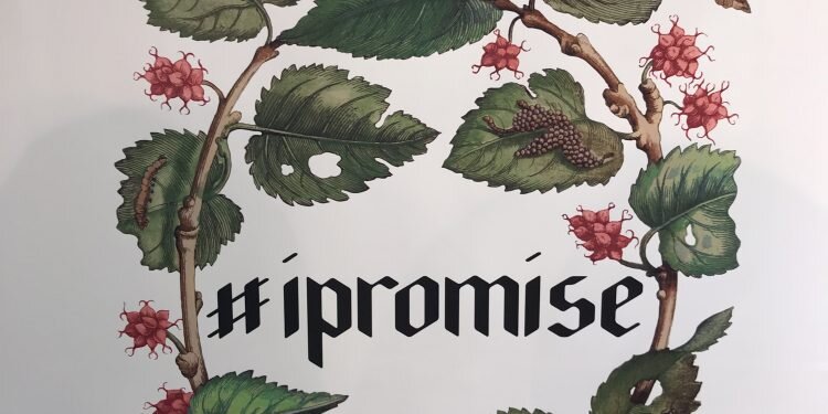 Soloio, presentó su nueva colección llamada #ipromise en Valencia