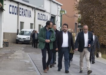 La Diputación fomentará el consumo de aceite autóctono con Castelló Ruta de Sabor y la XVIII Feria del Aceite de Oliva de Viver