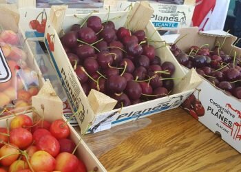 Cerezas y jazz en el “Esmorzar Del Tros al Plat” para reivindicar el territorio valenciano