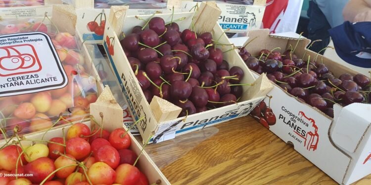 Cerezas y jazz en el “Esmorzar Del Tros al Plat” para reivindicar el territorio valenciano