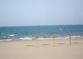 El Instituto de Neurociencias alerta de que las cremas solares no protegen «totalmente» del melanoma