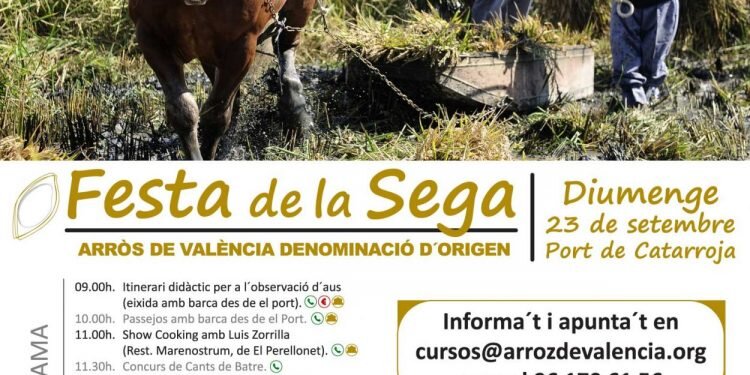 Festa de la sega – 7ª edició