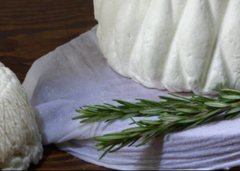 Los quesos de la Comunidad Valenciana, sabores autóctonos y calidad