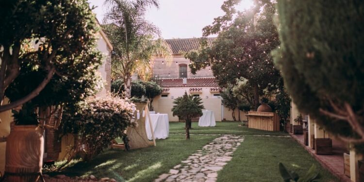 Dos emprendedores crean los naranjos de San Isidro en mitad de la huerta