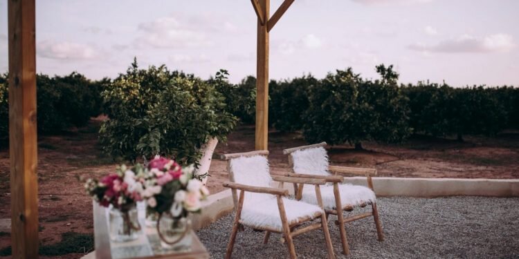 Dos emprendedores crean los naranjos de San Isidro en mitad de la huerta