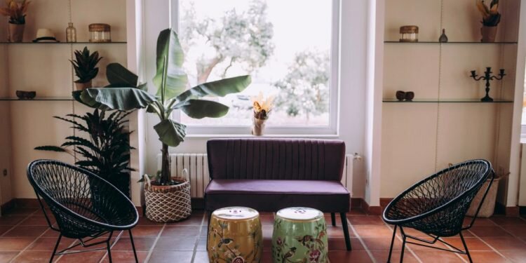 Dos emprendedores crean los naranjos de San Isidro en mitad de la huerta