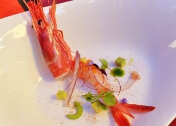 La ‘gamba roja de Dénia’ ya tiene sus ocho finalistas