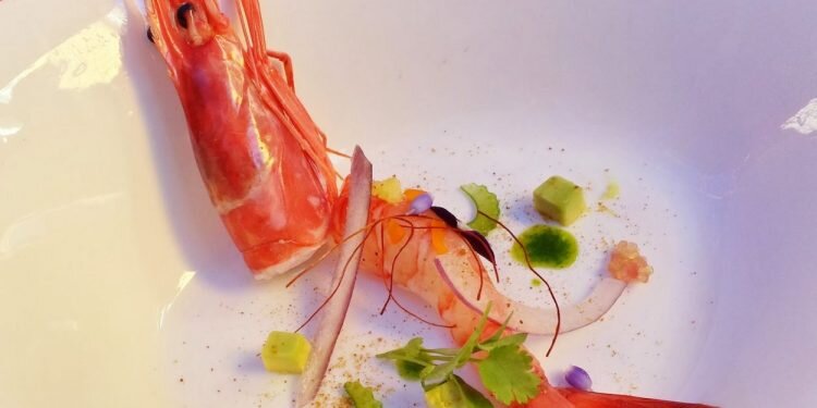 La ‘gamba roja de Dénia’ ya tiene sus ocho finalistas