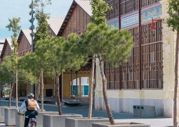 La Marina de València será más verde