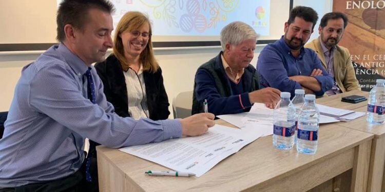 31ª Mostra Proava en Valencia, con el vino como leit motiv (25-29 de abril)