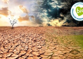 BioCultura Valencia, entre las más de 300 organizaciones que se suman a la Huelga Mundial por el Clima 