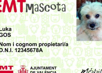 Las mascotas podrán viajar en el autobús urbano de Valencia