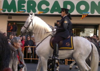 Nociones ecuestres de presentación, con las que disfrutar la Bendición de San Antonio Abad
