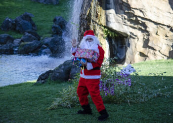Papá Noel entrega sus regalos a los animales en BIOPARC Valencia