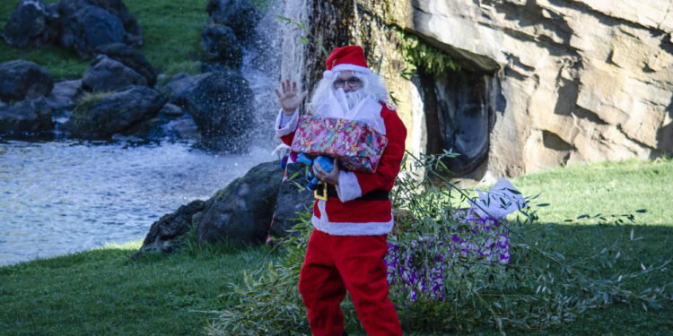 Papá Noel entrega sus regalos a los animales en BIOPARC Valencia