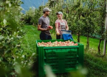 Los rostros del ‘paraíso de las manzanas’