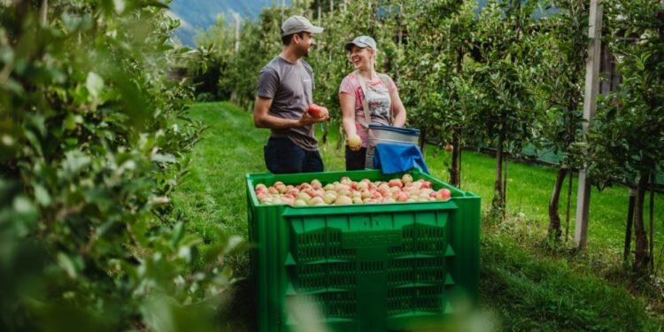 Los rostros del ‘paraíso de las manzanas’
