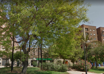 Rutas por Valencia árboles: Un viaje por el Mediterráneo