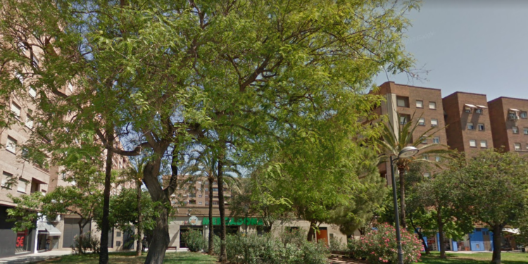 Rutas por Valencia árboles: Un viaje por el Mediterráneo