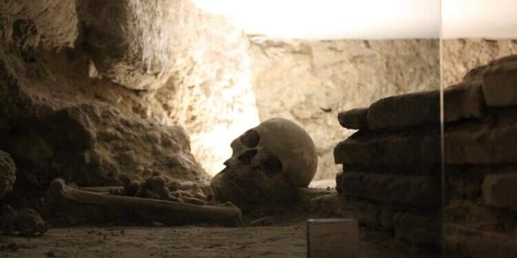 LOS SUBTERRÁNEOS DE LA CATEDRAL