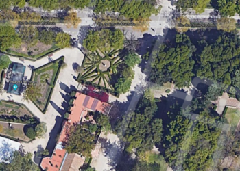 Rutas por Valencia Árboles: La vuelta al mundo