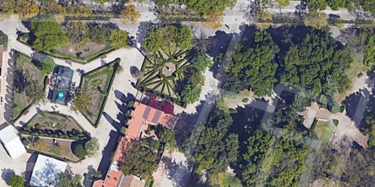 Rutas por Valencia Árboles: La vuelta al mundo