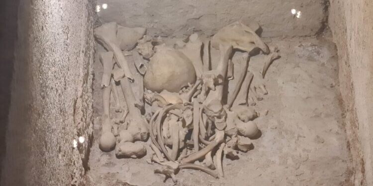 La Cripta Arqueológica de la Cárcel de San Vicente mártir