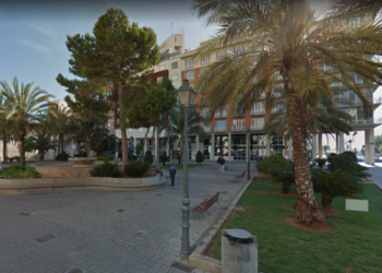 Rutas por Valencia: Árboles indianos