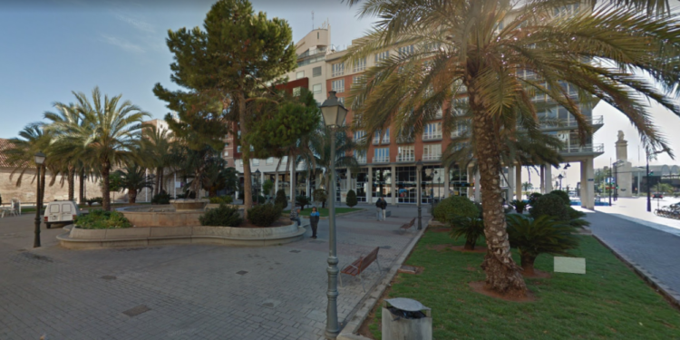 Rutas por Valencia: Árboles indianos