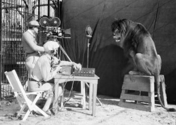 Probablemente sea el león más famoso de Hollywood