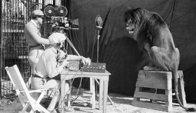 Probablemente sea el león más famoso de Hollywood