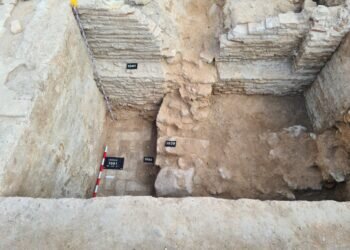 El ayuntamiento descubre una bodega del siglo XIV y otros objetos de valor que se suman al patio y la fuente mudéjares