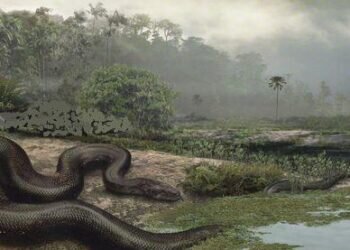 Leyenda del Parador Luis Vives (El Saler, Valencia)