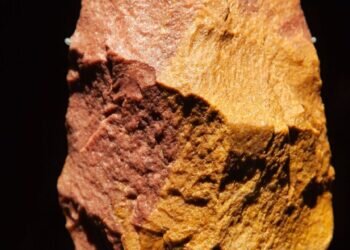 Un filo cambio el mundo. el primer producto tecnológico nos convirtió en los reyes de la creación