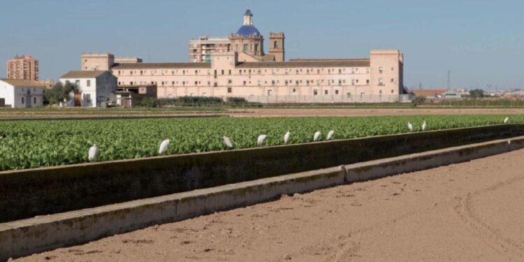 Comienzan las obras de los itinerarios paisajísticos en el entorno de San Miguel de los Reyes