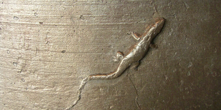 La campana “El Manuel” de la torre del Miguelete de la Catedral de Valencia cumple cuatrocientos años de su fundición en el siglo XVII