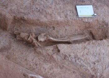 Una presencia fantasmagórica en el albergue de Millares